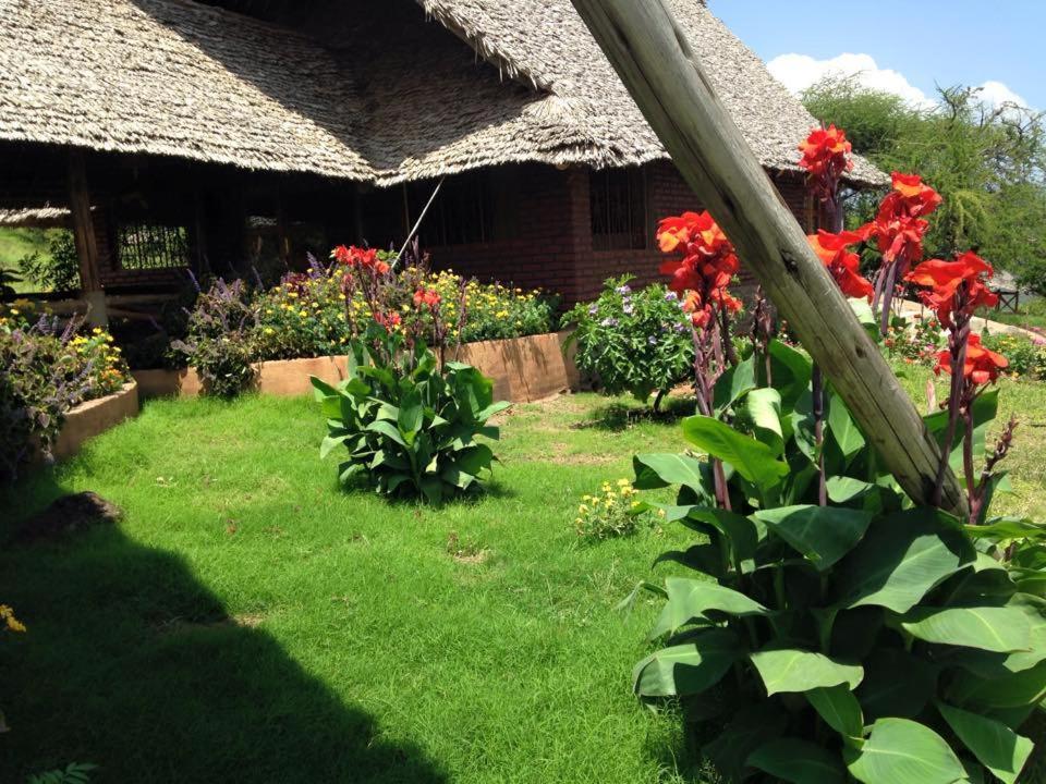 African Sunrise Lodge And Campsite 음토와음부 외부 사진
