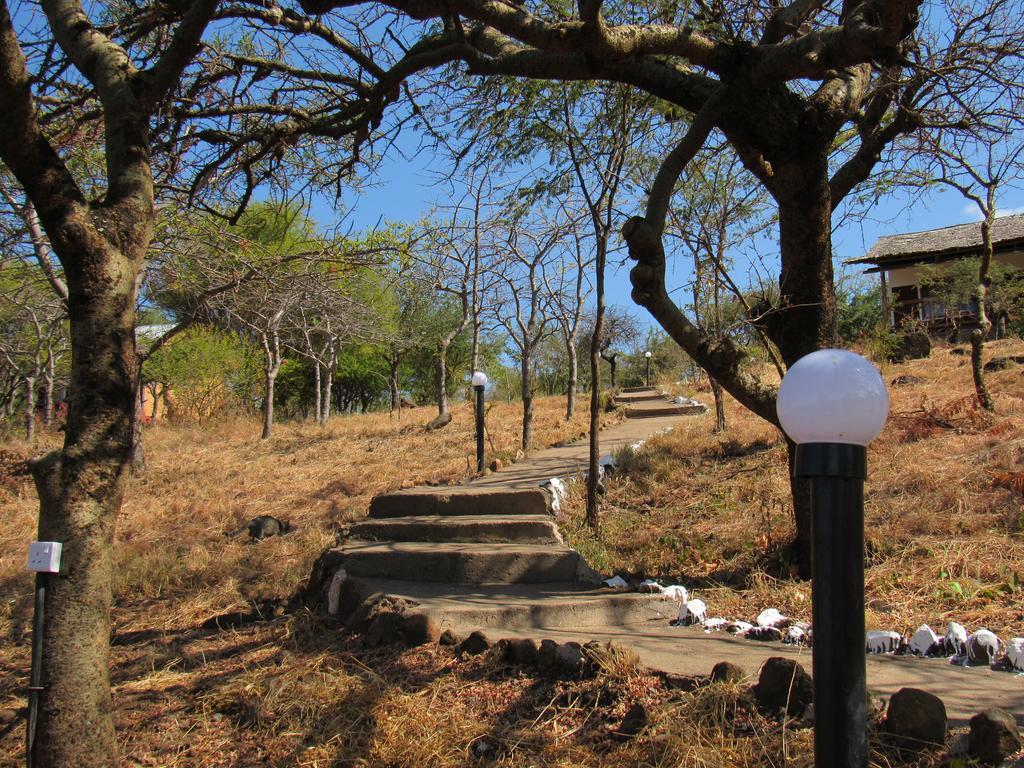 African Sunrise Lodge And Campsite 음토와음부 외부 사진